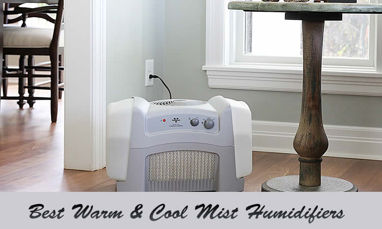 best cool mist humidifier